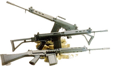 FAL.gif (15134 �ֽ�)