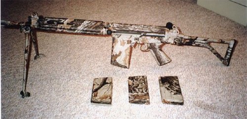 camoleft.jpg (39848 �ֽ�)