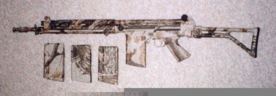 camounfold.jpg (29789 �ֽ�)