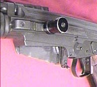 cock_h.jpg (8668 �ֽ�)