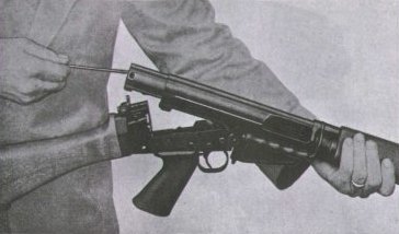 field2.JPG (15763 �ֽ�)