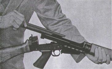 field3.JPG (17178 �ֽ�)