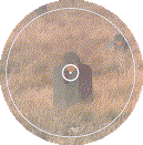 sing1.gif (6262 �ֽ�)