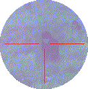 sing2.gif (4819 �ֽ�)