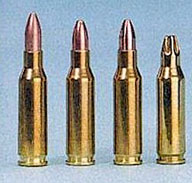 pdwammo.jpg (16883 bytes)