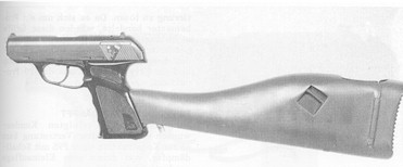 p9sstock1.jpg (11586 �ֽ�)