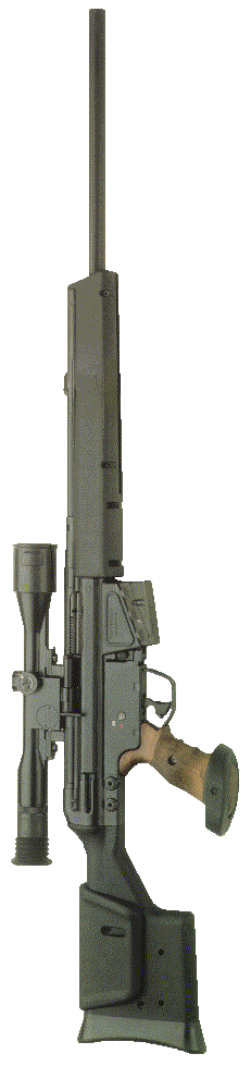 psg1.gif (34013 �ֽ�)