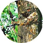 Bowe.jpg (10313 �ֽ�)