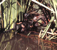 vass.jpg (22313 �ֽ�)