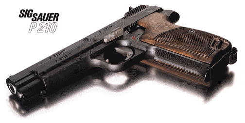 P210-2.gif (31874 �ֽ�)