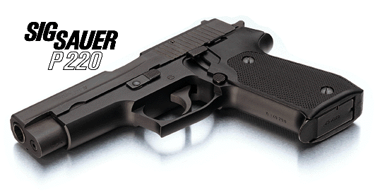 p220-1.gif (51072 �ֽ�)