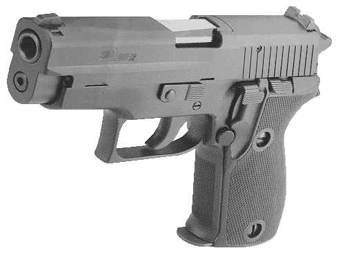 P225.gif (31669 �ֽ�)