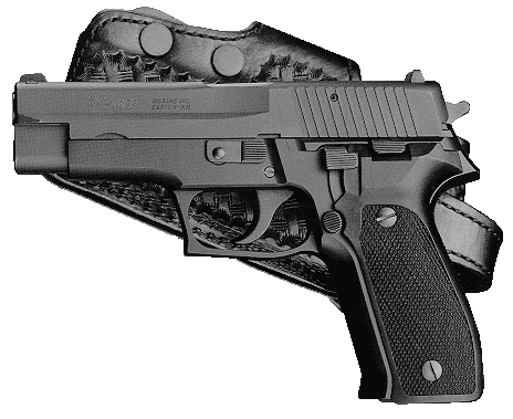 P226a.gif (34758 �ֽ�)