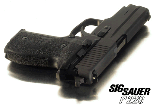 P228_3.gif (60876 �ֽ�)