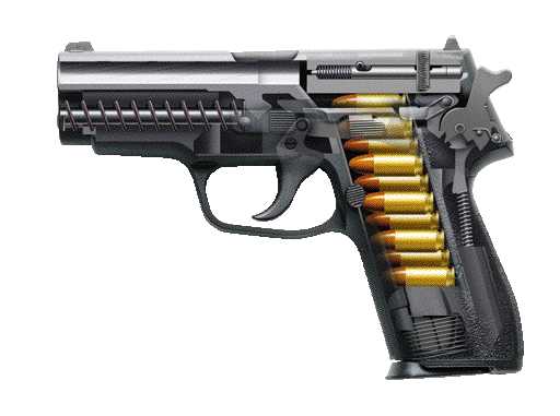 P228-d.jpg (15114 �ֽ�)