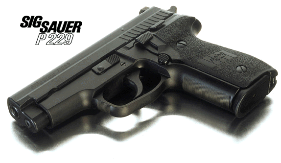 P229-1.gif (65863 �ֽ�)