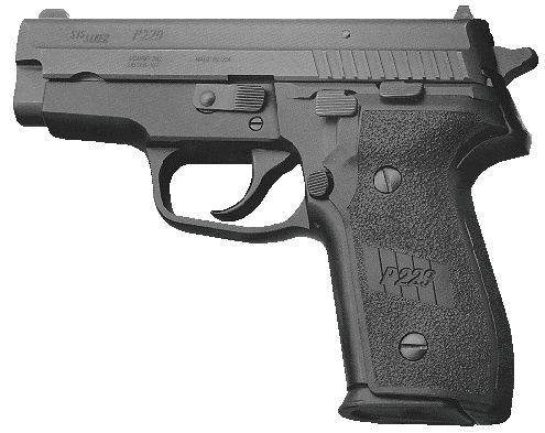 P229.gif (33250 �ֽ�)