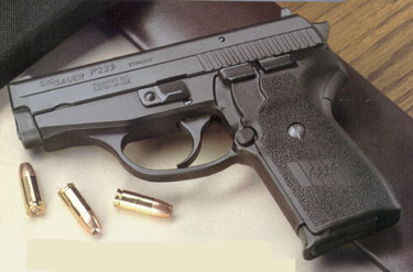 p239-3.jpg (25155 �ֽ�)