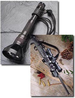 12ZM.jpg (26560 �ֽ�)