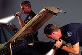 cop2.jpg (13285 �ֽ�)