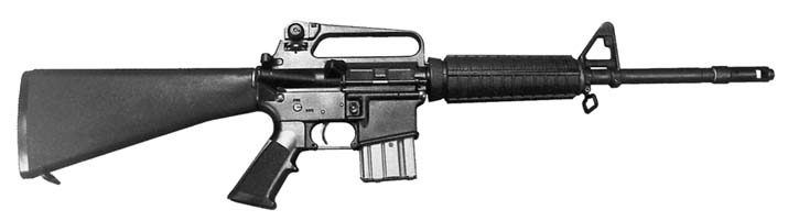 SHORTY-AK.jpg (13653 �ֽ�)