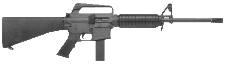 9mm6430.gif (16876 �ֽ�)