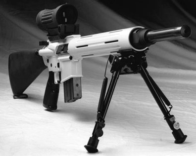 Artic.JPG (20958 �ֽ�)