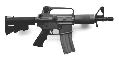 Kitty.JPG (8519 �ֽ�)