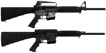 pcr2-3.gif (31407 �ֽ�)