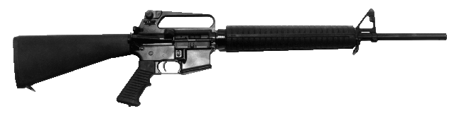 pcr4.gif (28759 �ֽ�)