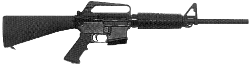 pcr6.gif (22321 �ֽ�)