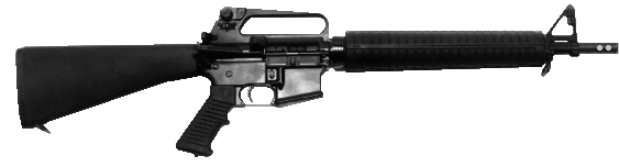 pcr7.gif (25165 �ֽ�)