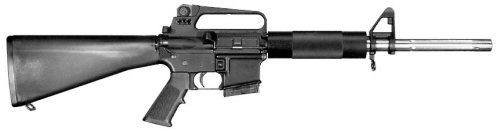 ASA16A2Bull.jpg (9118 �ֽ�)