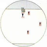 pug.jpg (4498 �ֽ�)