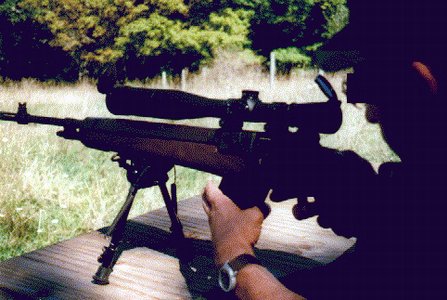 m21d.jpg (37576 �ֽ�)