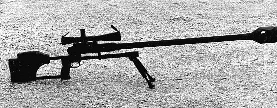 145Daisy.jpg (50053 �ֽ�)